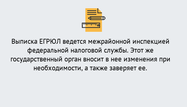 Почему нужно обратиться к нам? Тутаев Выписка ЕГРЮЛ в Тутаев ?