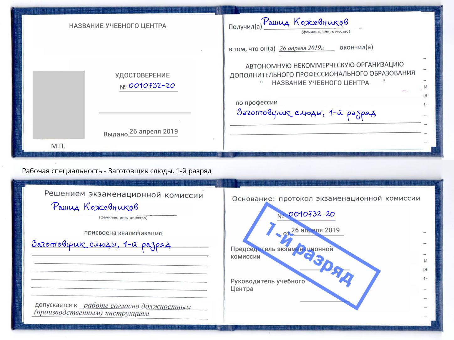 корочка 1-й разряд Заготовщик слюды Тутаев